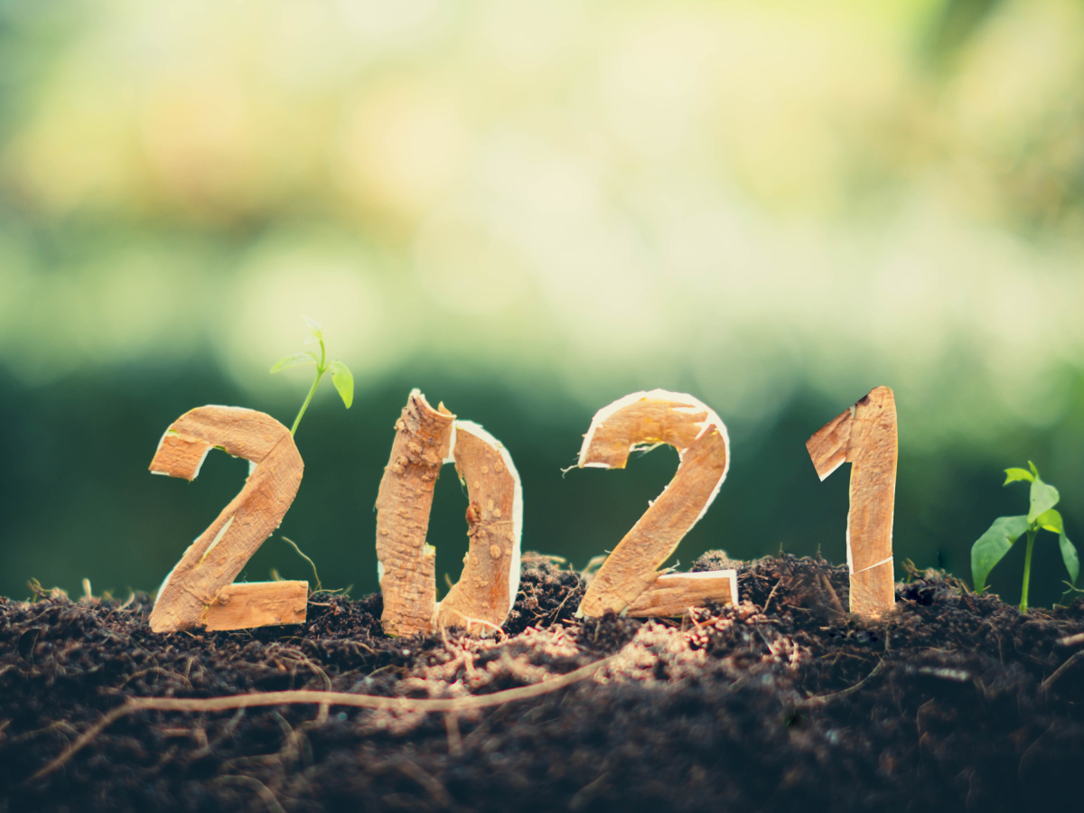 rok 2021
