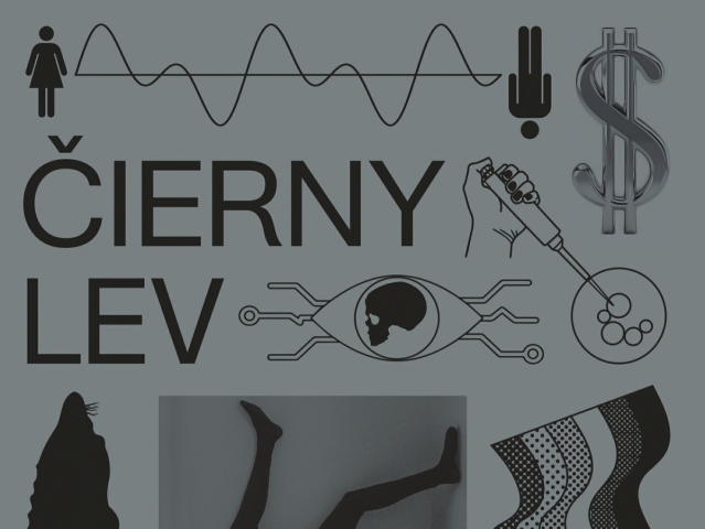 cierny lev michal hvorecky