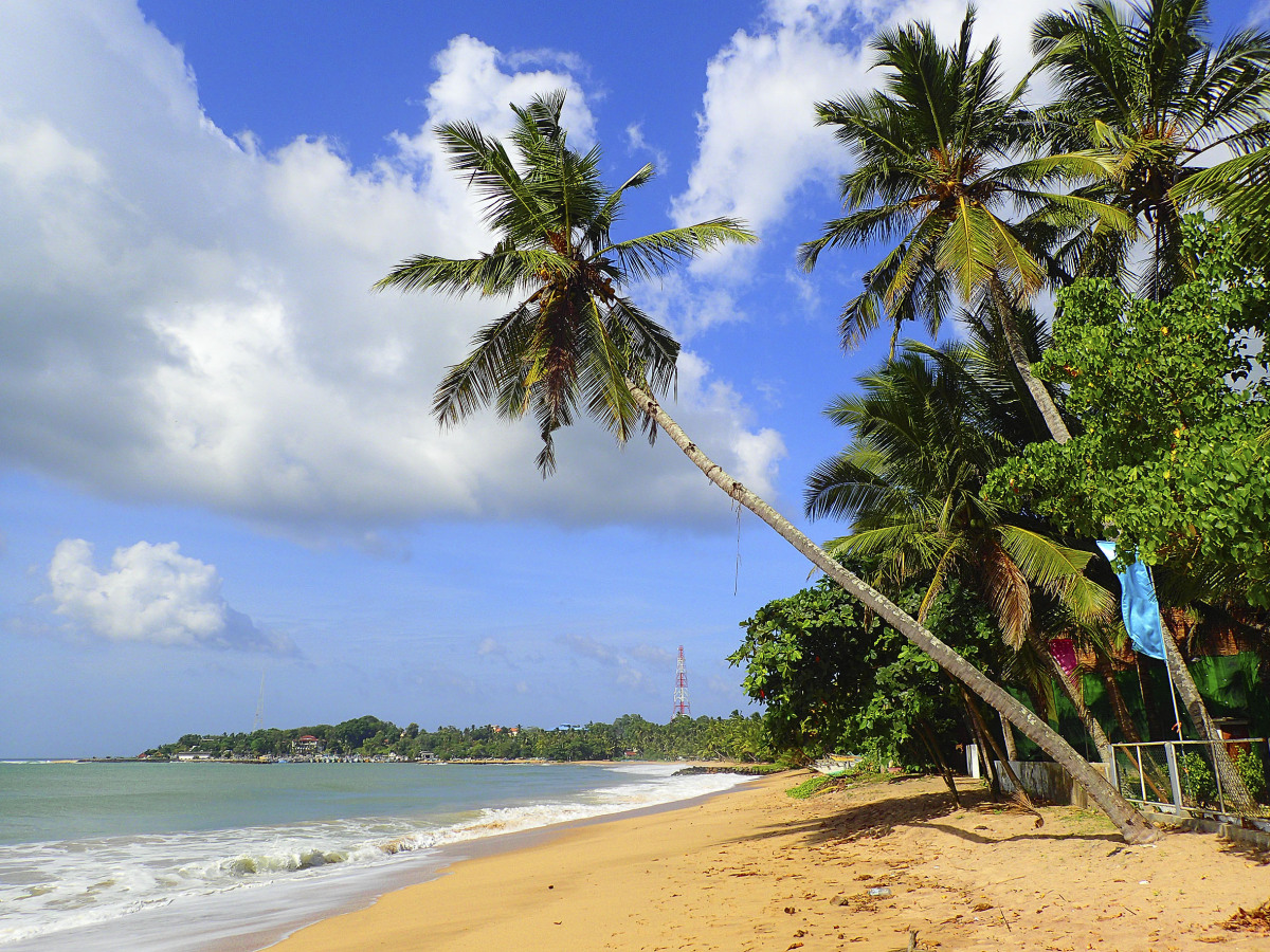 Srí Lanka, pláž, palmy, more, Tangalle