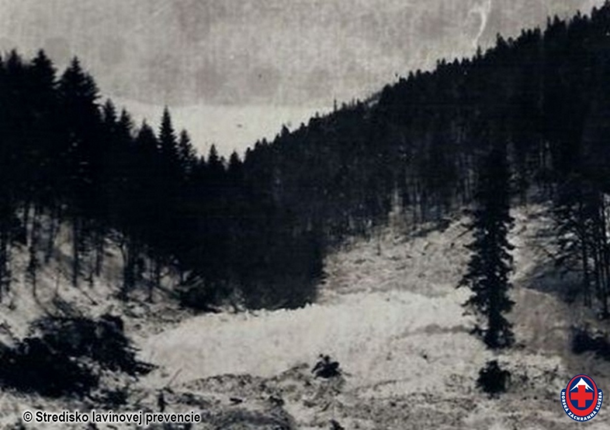 lavinax