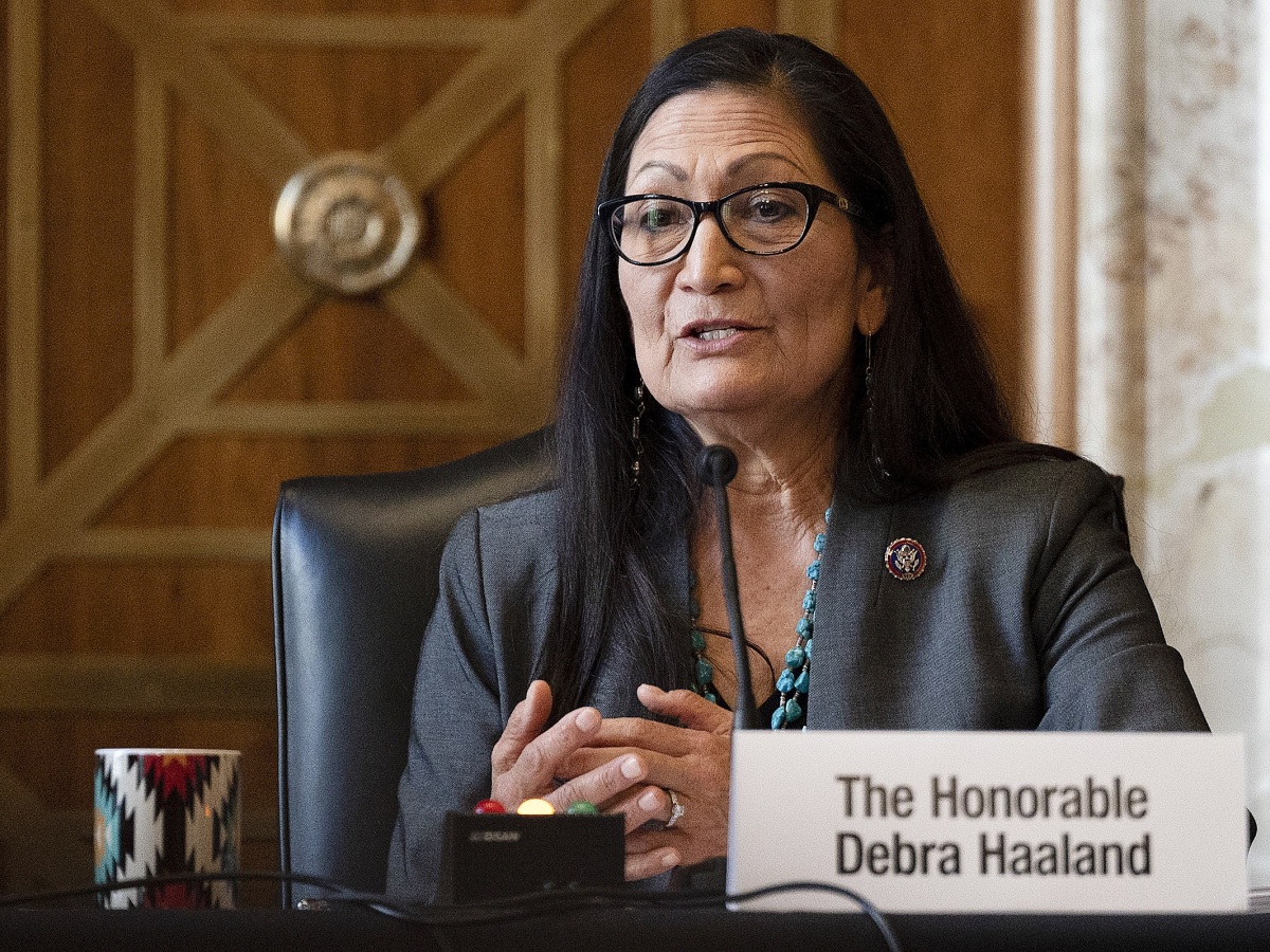 Deb Haalandová