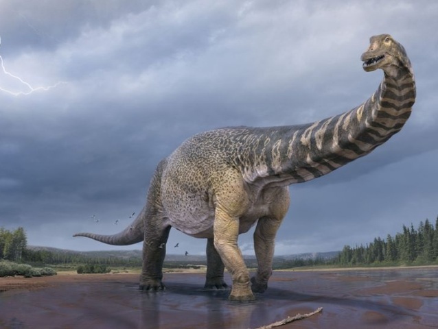 dino