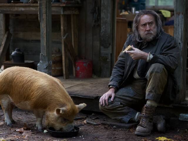 Brody-Pig