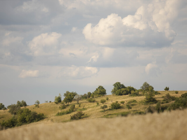 Silická planina, Slovenský kras