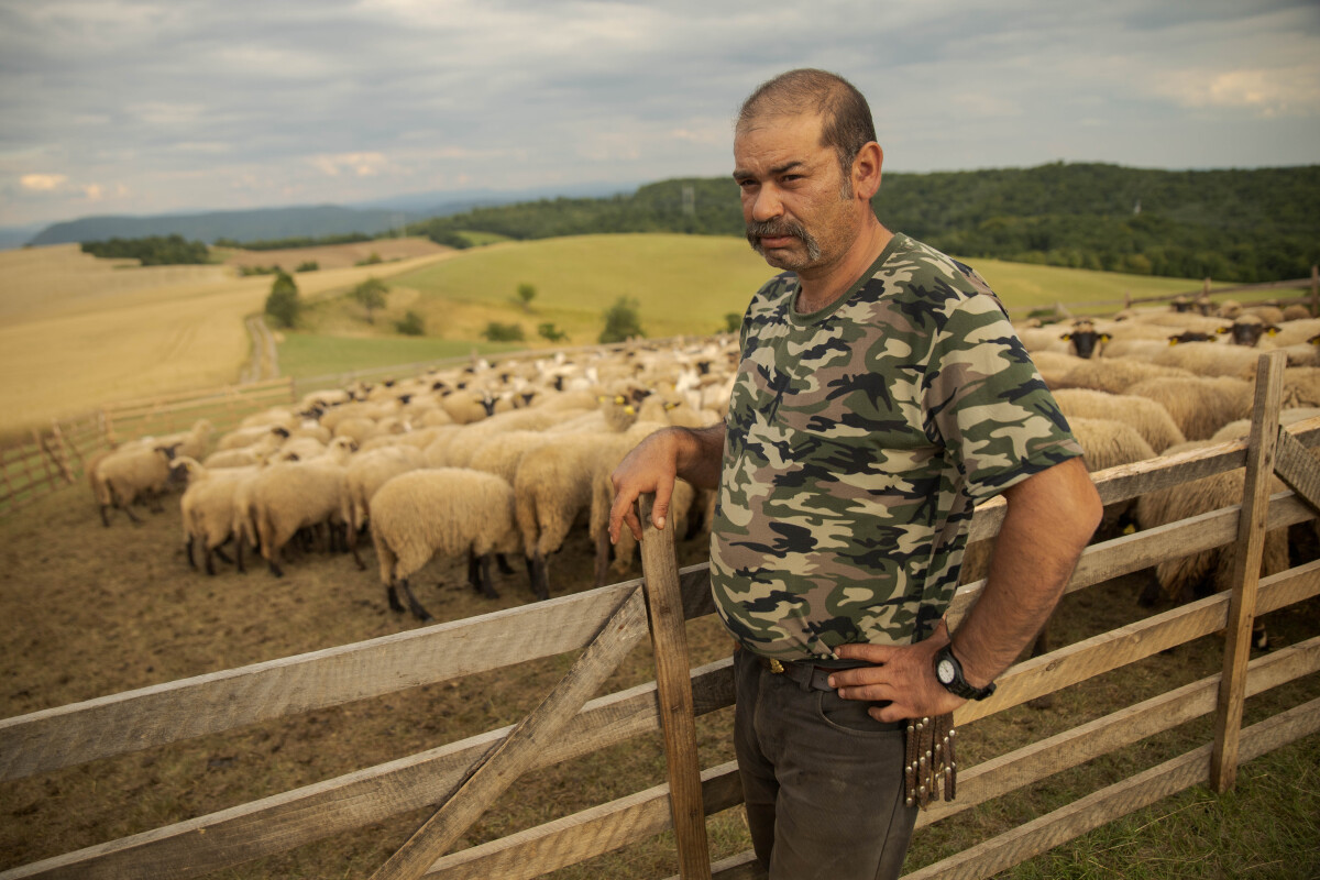 pastier, Gábor Rusznyák, Silická planina