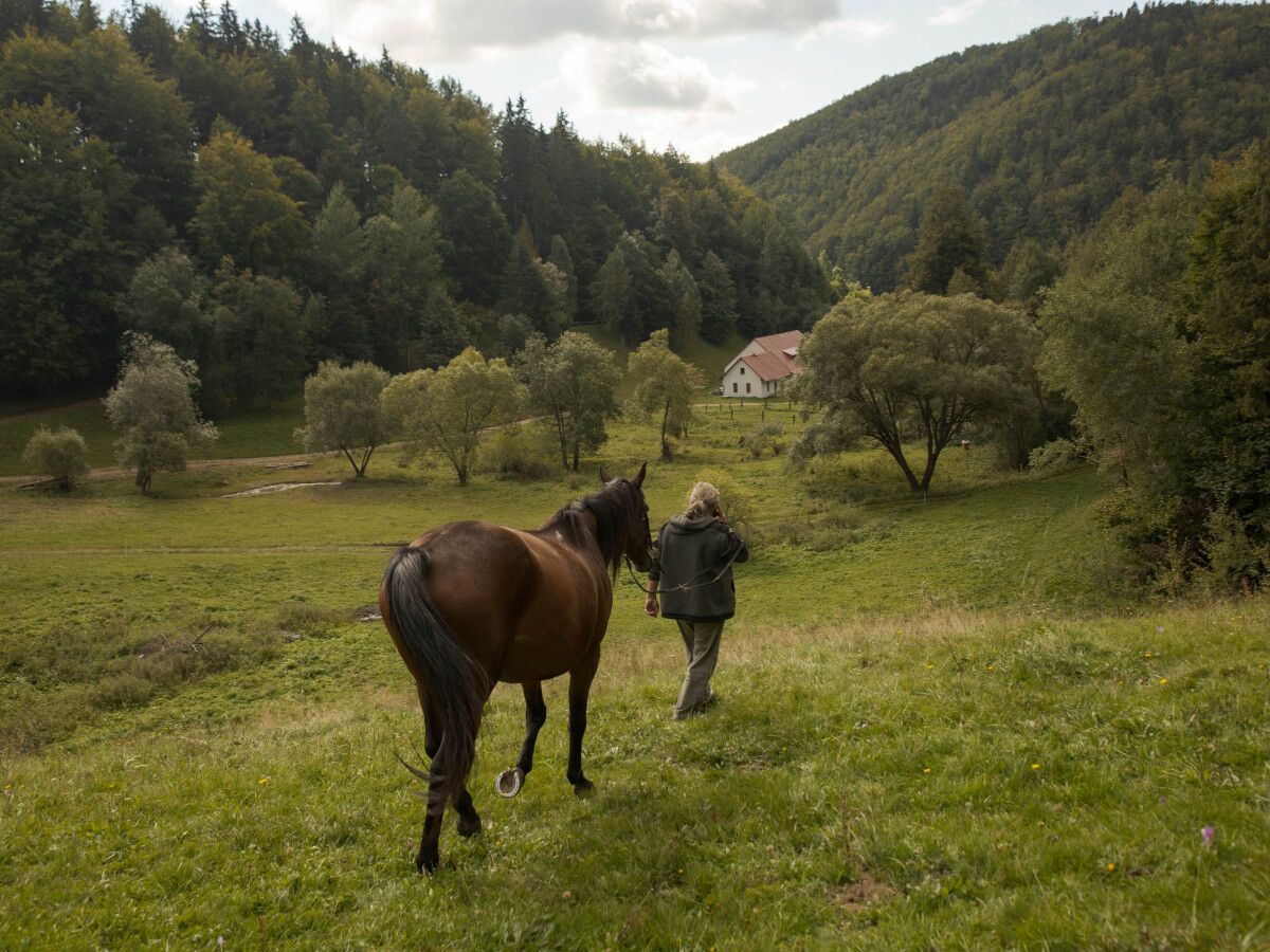 Muránska planina, kone