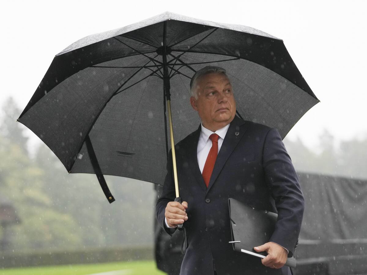 dážď, Viktor Orbán, dáždnik