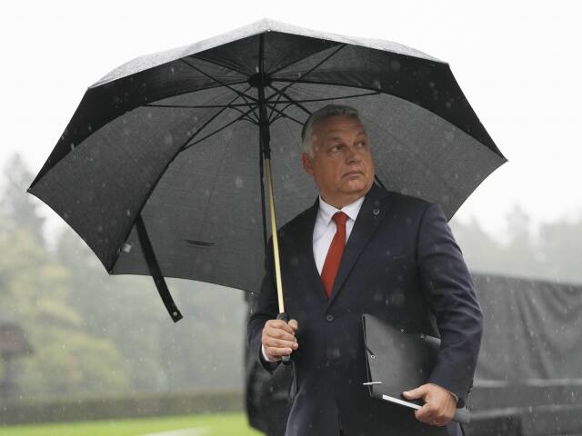 dážď, Viktor Orbán, dáždnik