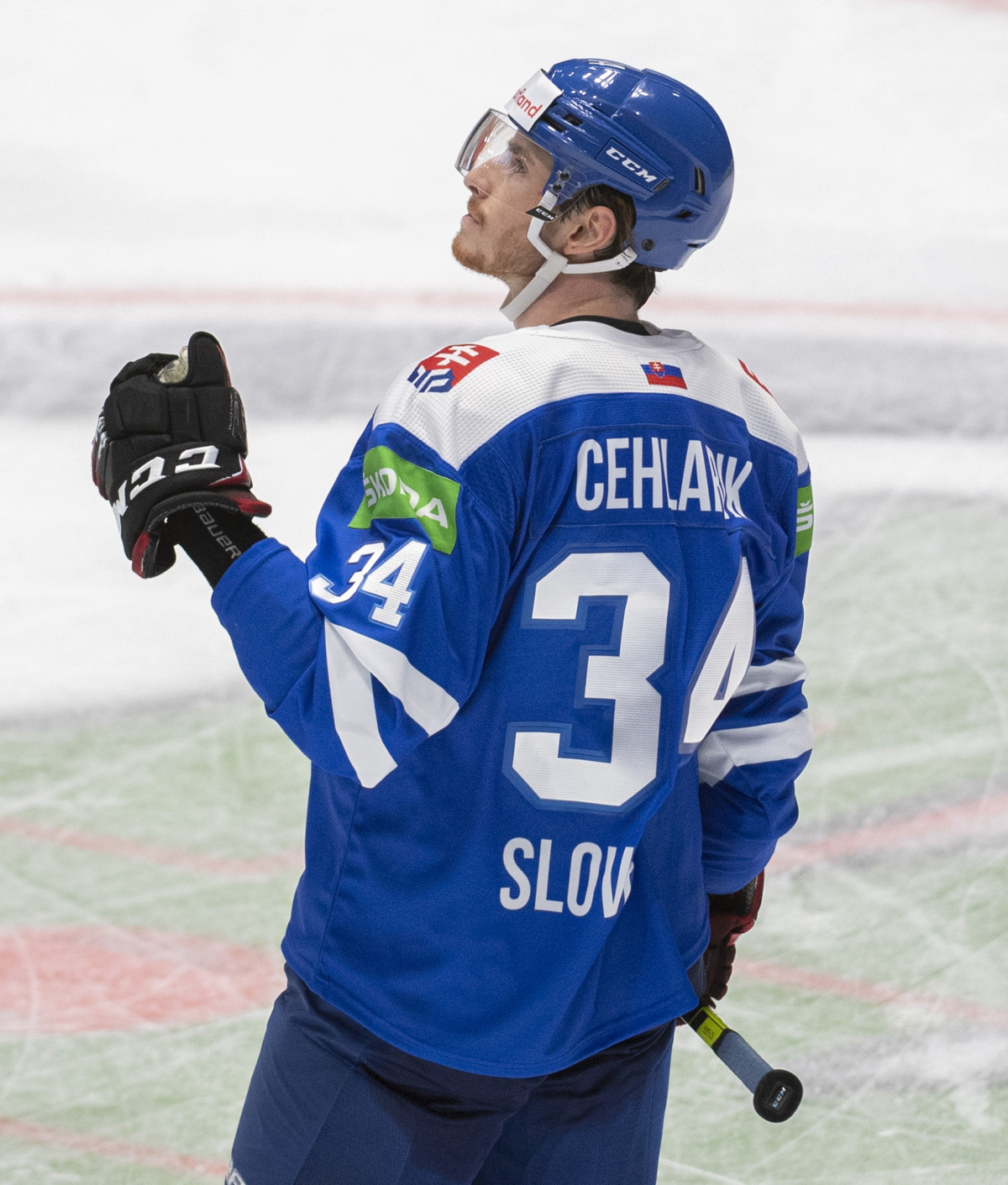 9 Cehlarik