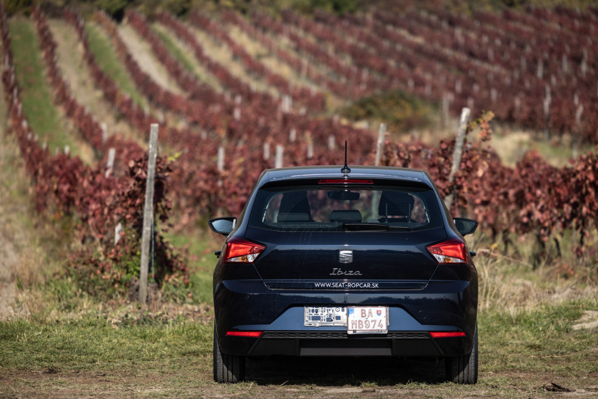 SEAT Ibiza 1,0 TSI 110 a Ibiza FR 1,5 EVO (2021)