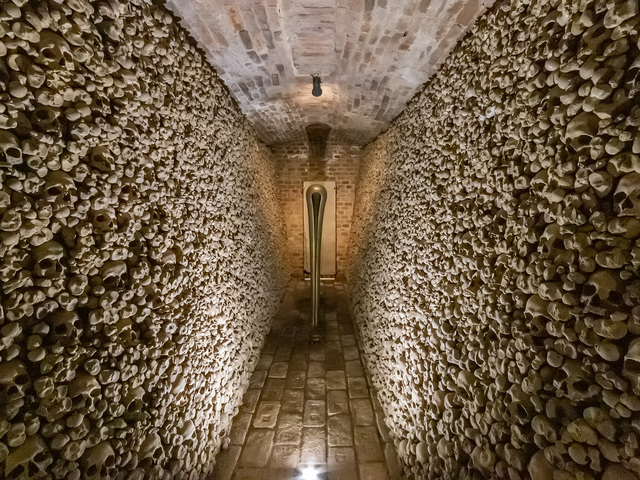 kostnica, Kostnica u sv. Jakuba, Brno, kosti, lebky