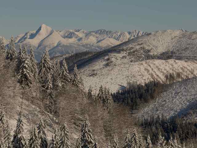 NAPANT, Nízke Tatry, rúbanisko, Kriváň