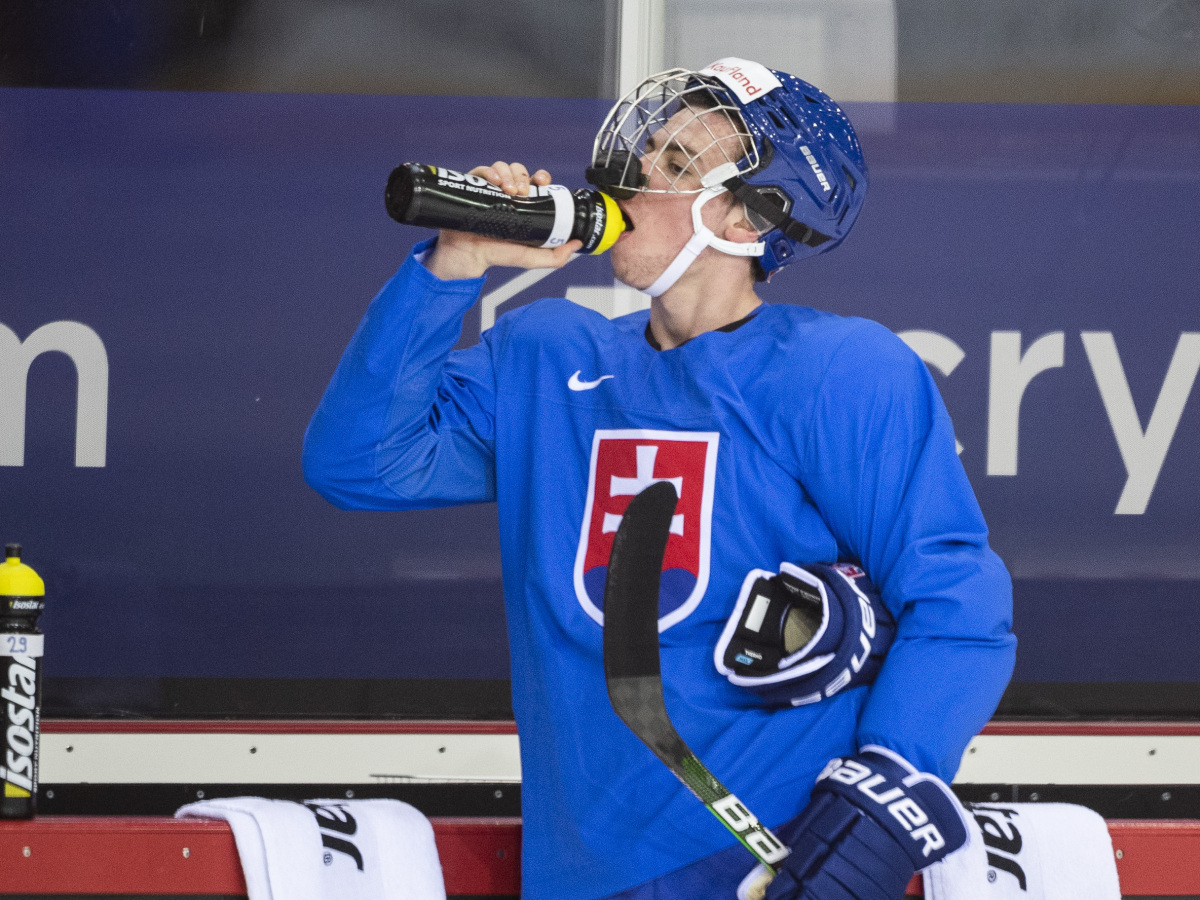 Nemec hokej