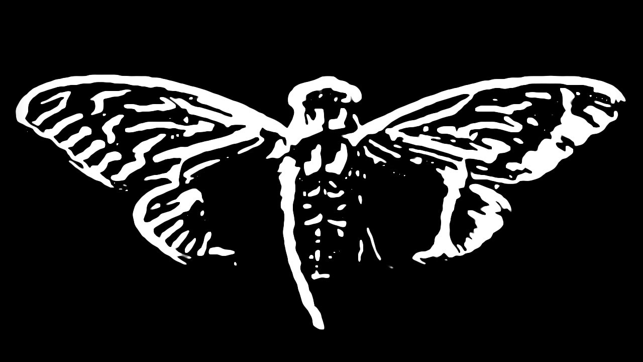 Sériu hádaniek Cicada 3301 jej tvorcovia postupne zverejňovali na stránkach 4chan a twitter.