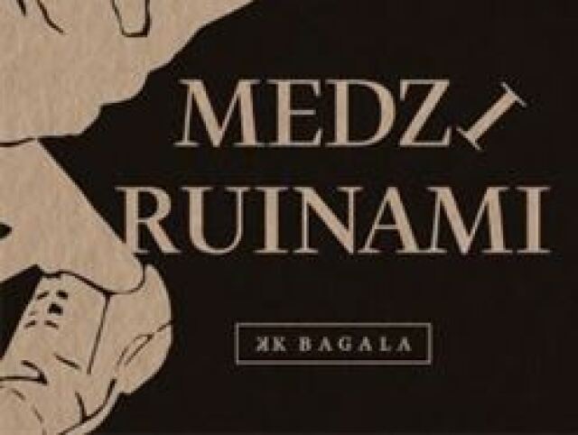 kniha medzi ruinami