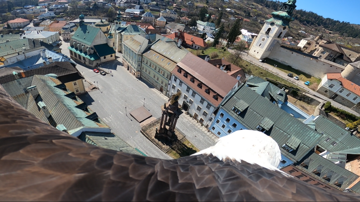 orliak Nixon, Banská Štiavnica