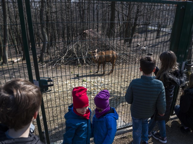 zoo