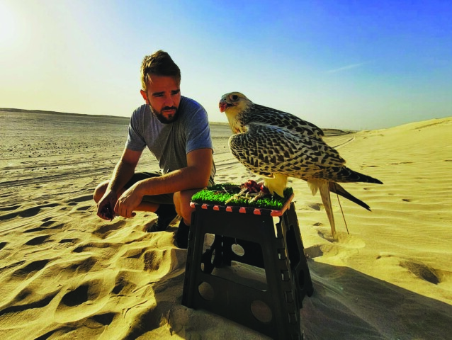 sokol