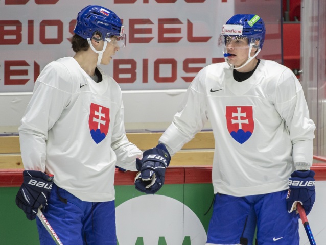 Fínsko MS2022 Hokej A Slovensko tréning