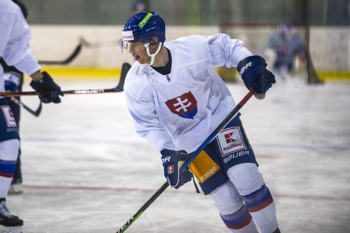 Nemec hokej