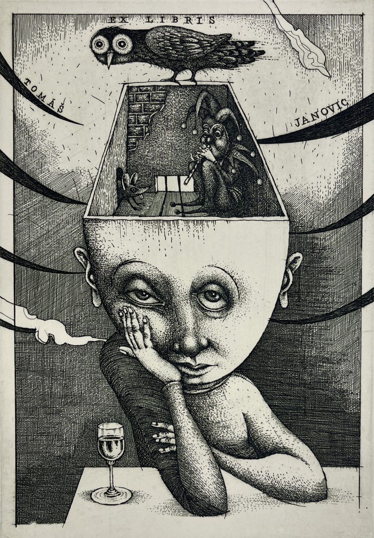 Ex libris Tomáš Janovic