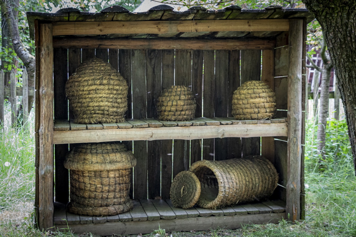 skanzen, Wolsztyn, úle, Poľsko