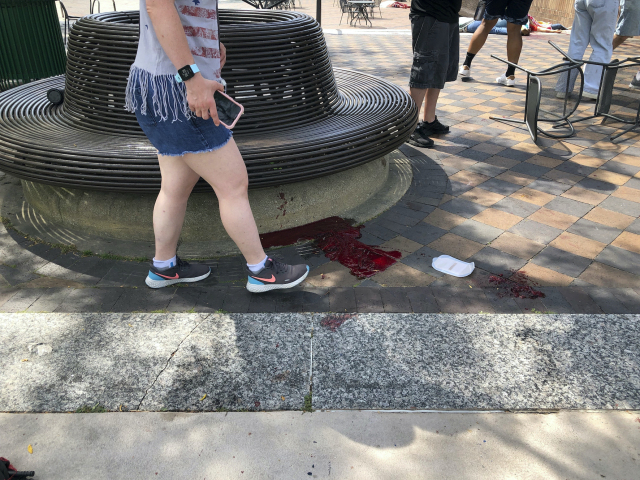 streľba, Chicago, Deň nezávislosti