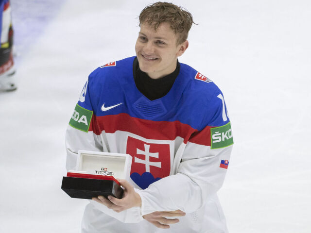12 Sykora