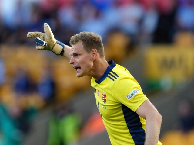 4. Dénes Dibusz