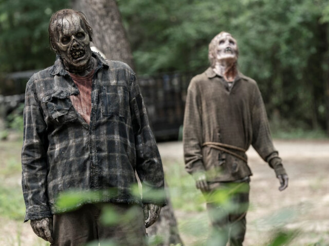 walking dead, zombík, zombíci,