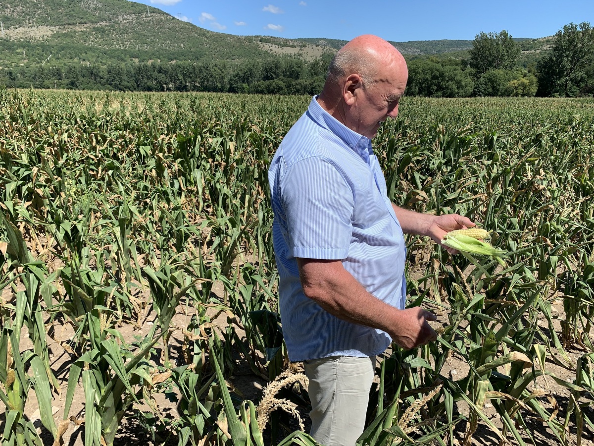 Agrodružstvo Turňa nad Bodvou