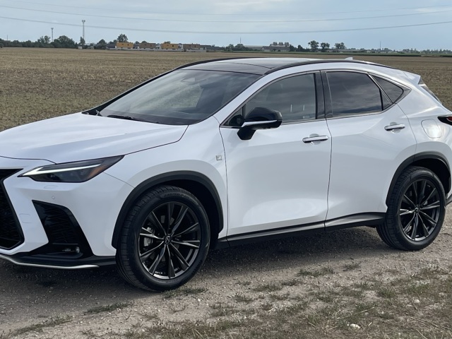 Lexus NX 350h 4x4 E-four (2022)