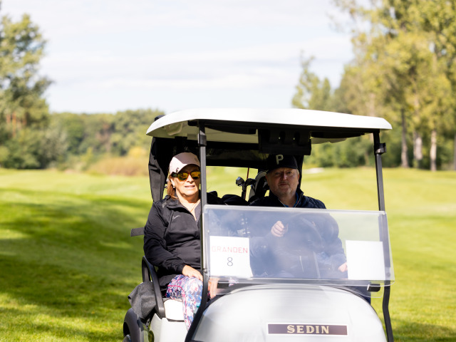 sedin golf pravda ta3