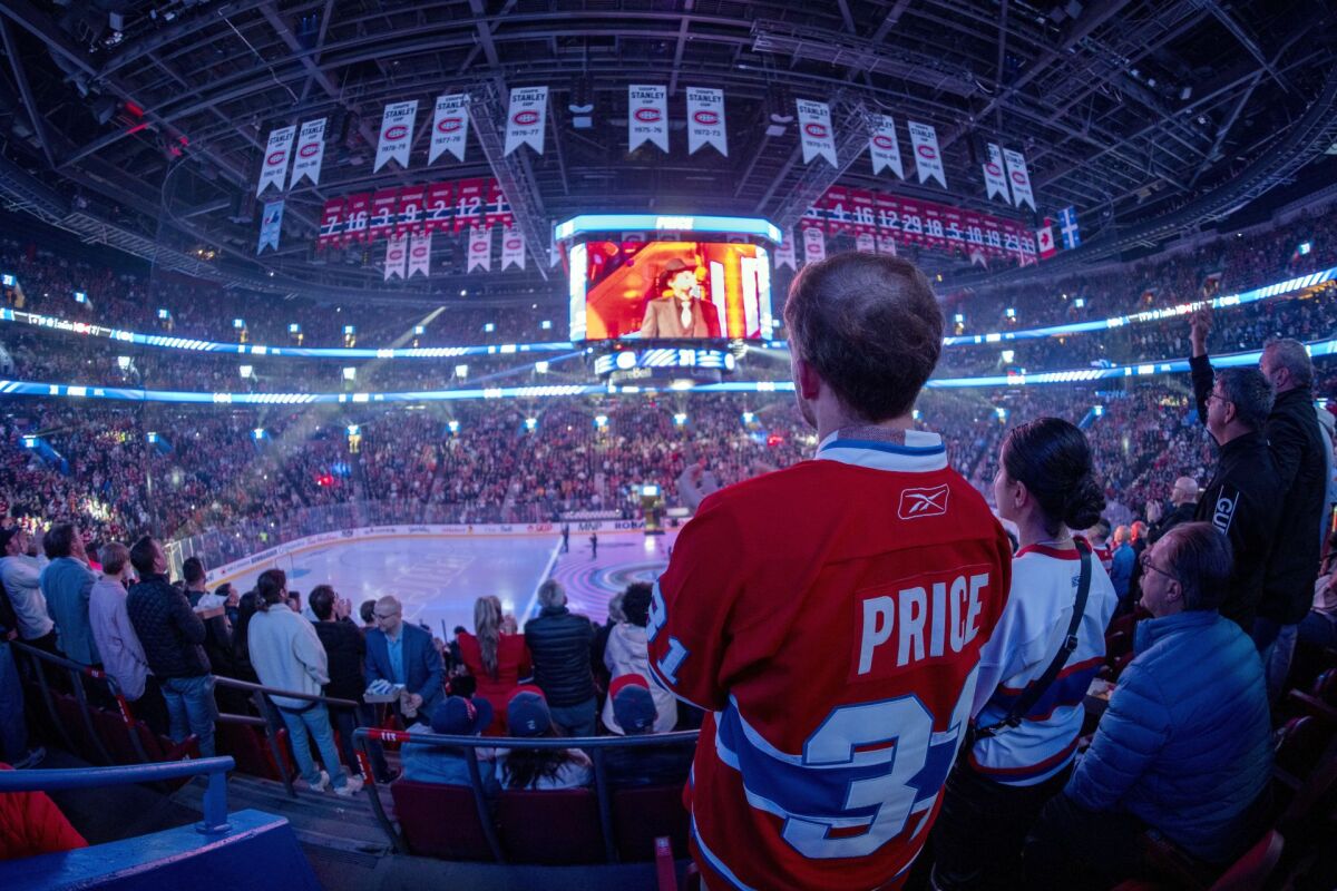 fans montreal nhl