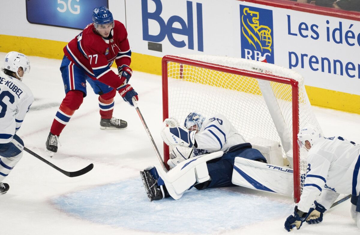 Maple Leafs Canadiens Hockey Dach