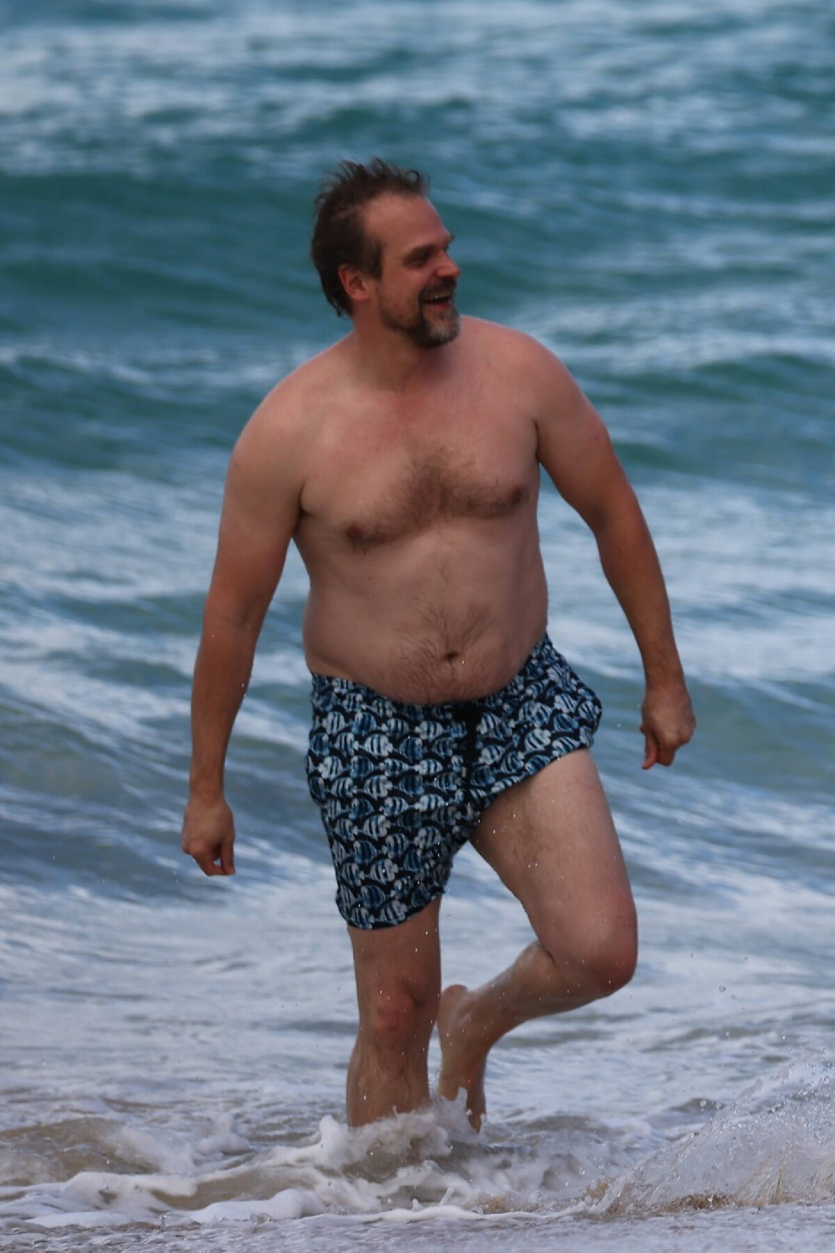 David Harbour