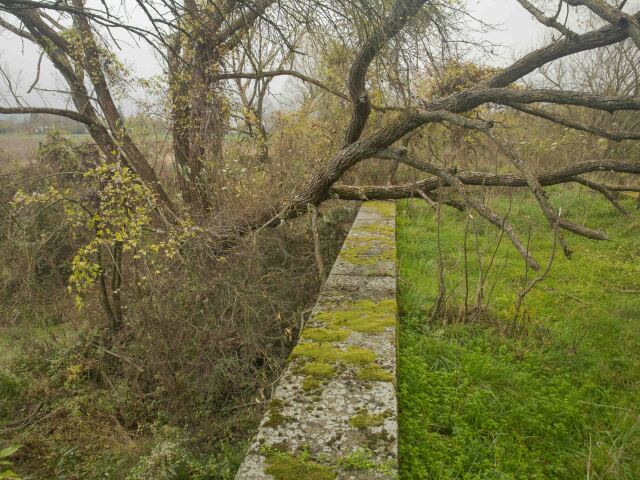 bobor, mokrad, zeleznica, zahorie, hat