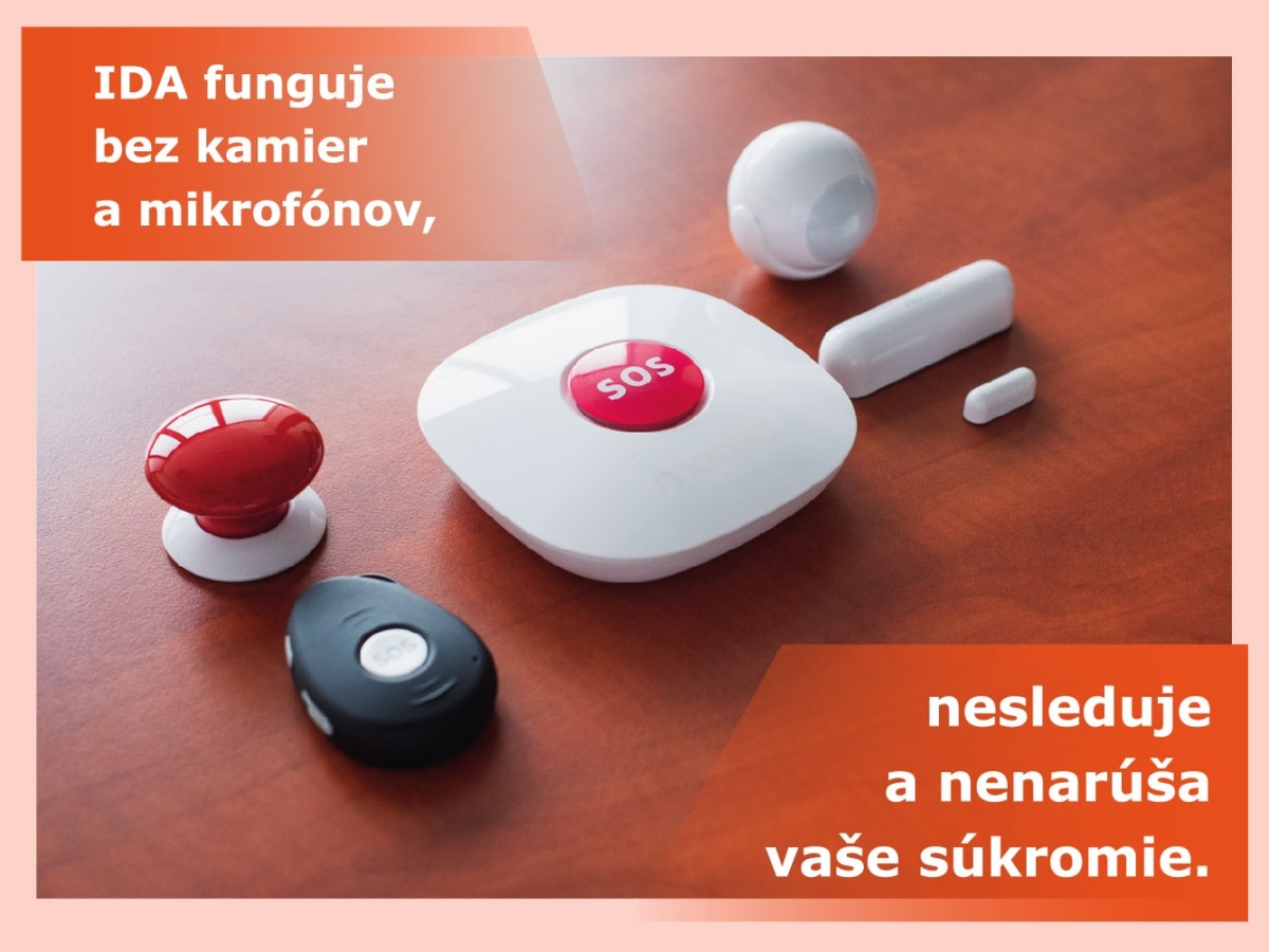 IDA domaca asistentka