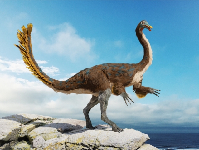 theropod