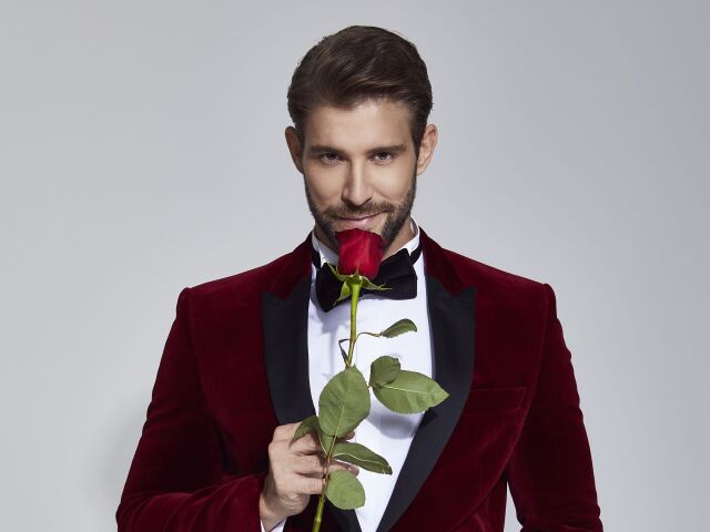 tomáš tarr, ruža pre nevestu,