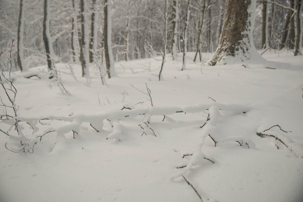 vychodne karpaty, sneh, voda