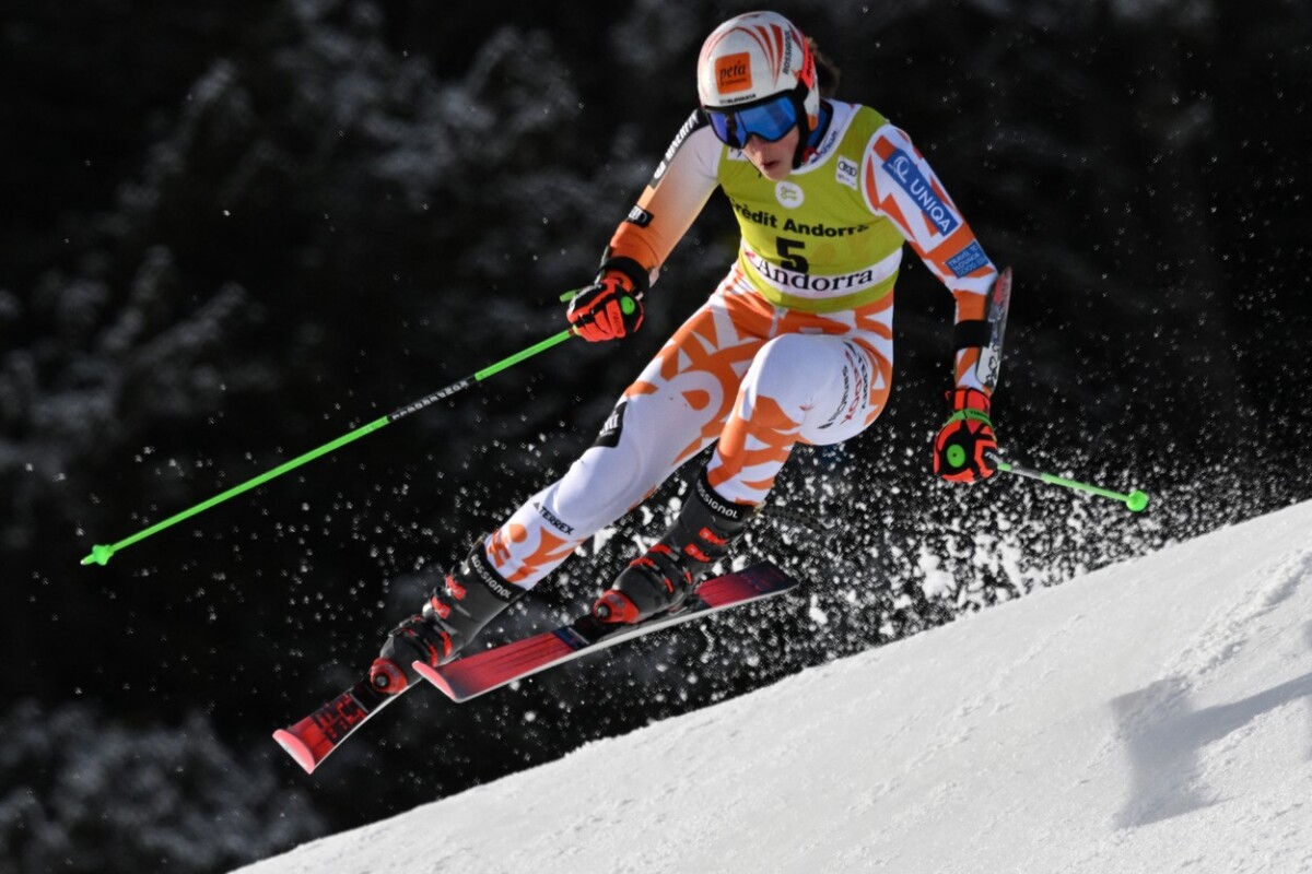 vlhová hodnotenie
