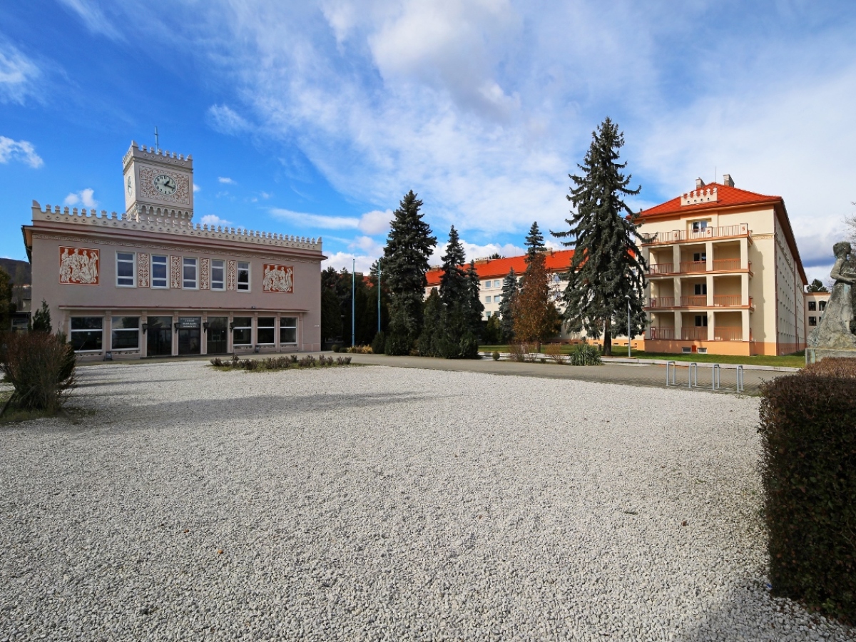 mladá garda