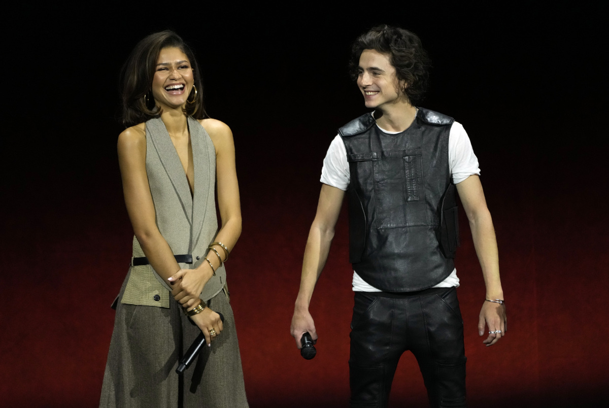 Zendaya a herec Timothee Chalamet 