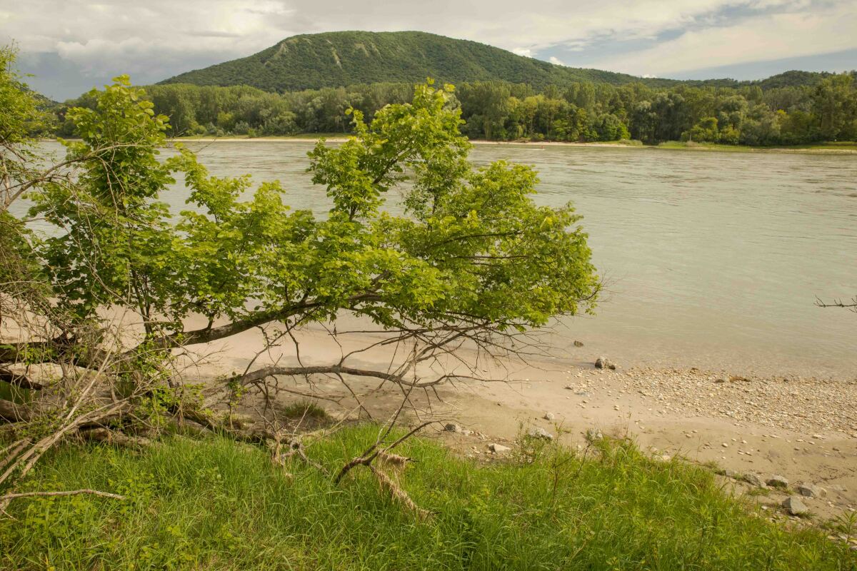 donau auen, dunajske luhy, rakusko, narodny park