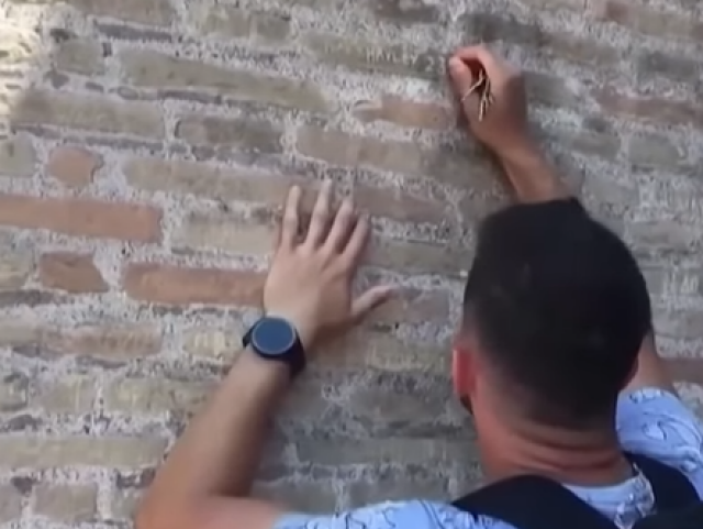 Britský vidlák / Koloseum /