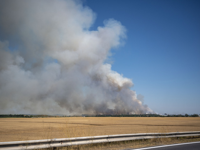 BRATISLAVA: Požiar poľa pri letisku