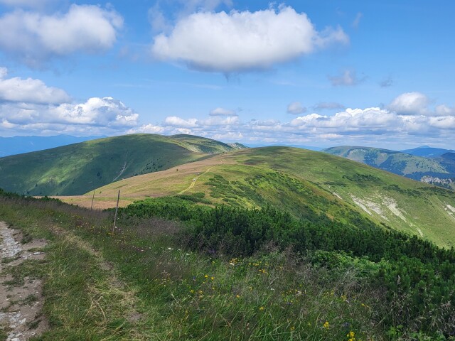 Veľka Fatra - Krížna, mReportér