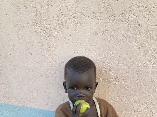 NEPOUZ, Uganda, Guava je oblubenym ovocim aj u nasich deti