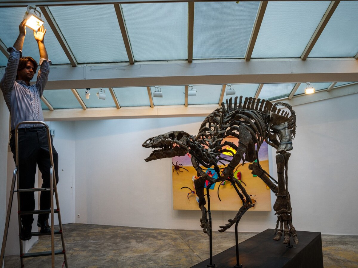 Camptosaurus